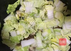 大白菜炒香菇的做法图解5