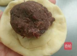 豆沙面包的做法图解7