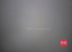 地瓜粥的做法图解4