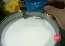 酸奶的做法图解2