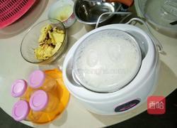 酸奶的做法图解3
