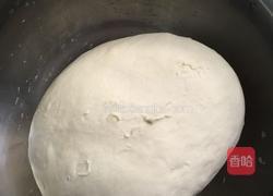 荠菜饺子的做法图解5