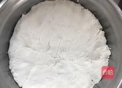 驴打滚（李小厨）的做法图解4