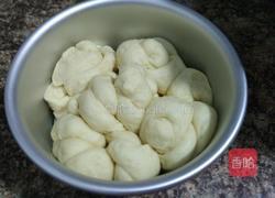 老面鲜奶包的做法图解10