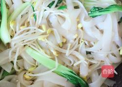 鸡蛋炒河粉的做法图解5
