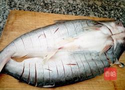 清蒸海龙鱼的做法图解4