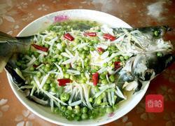 清蒸海龙鱼的做法图解8