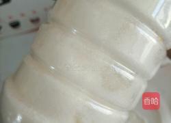 酸奶的做法图解4