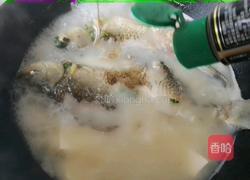 鲫鱼豆腐汤的做法图解8