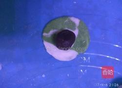 雨花石汤圆的做法图解13