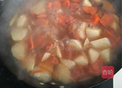 西红柿萝卜炖牛腩的做法图解9