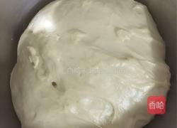 酸奶吐司（中种法）的做法图解4
