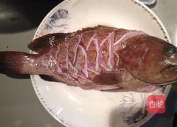 蒸石斑鱼的做法图解4