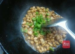 辣子鸡丁的做法图解9