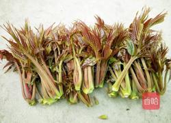 两种吃法香椿拌豆腐的做法图解2