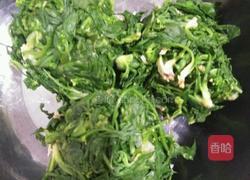 荠荠菜饺子的做法图解2