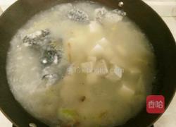 石斑鱼豆腐汤的做法图解7
