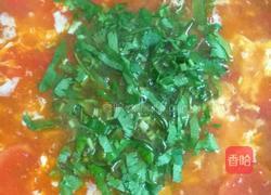 家常蛋花汤的做法图解7
