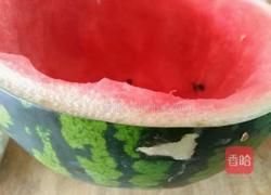 西瓜皮猪肉馅饺子的做法图解1