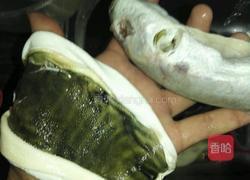 红烧河豚（带宰杀技术）的做法图解7