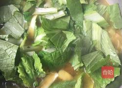 小白菜炖土豆的做法图解7