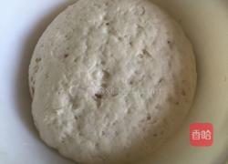 包子（猪肉韭菜馅儿）的做法图解3