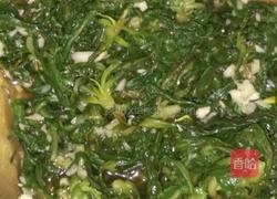凉拌苦苦菜的做法图解4