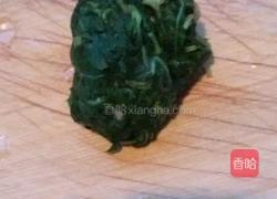 凉拌苦苦菜的做法图解3