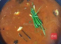 秘制红烧鸭（家庭版）的做法图解8