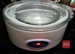 自制酸奶（十菌）的做法图解9