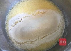 原味戚风蛋糕（8寸）的做法图解8