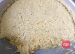 苞米面大饼子的做法图解3