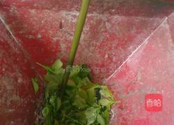 黑蚂蚁的做法图解4