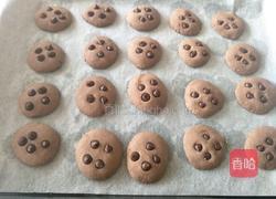 巧克力豆可可饼干的做法图解12