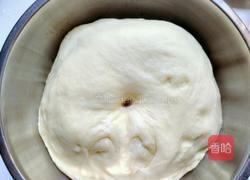 奶酪小面包的做法图解4