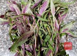 炒红苋菜的做法图解1