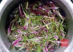 炒红苋菜的做法图解2