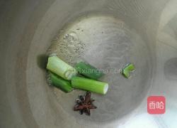 鸽子汤的做法图解6