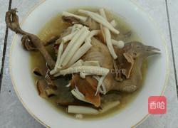 鸽子汤的做法图解10