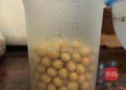 燕麦豆浆的做法图解1