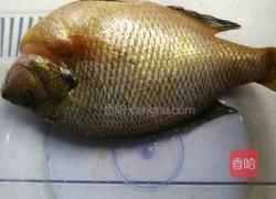 香煎太阳鱼的做法图解1