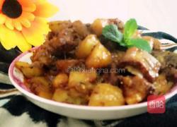 土豆烧排骨的做法图解14