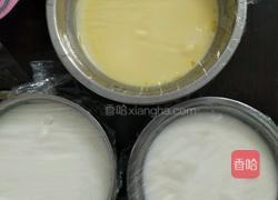 鲜橙葡萄双皮奶的做法图解1
