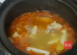 西红柿土豆牛尾汤的做法图解4