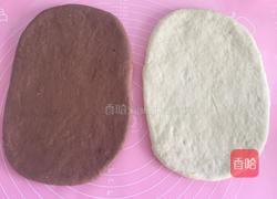 双色吐司（一次水浴发酵）的做法图解8