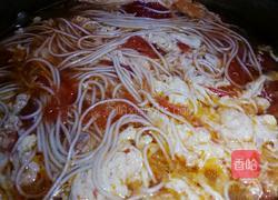 红油番茄鸡蛋汤面的做法图解7