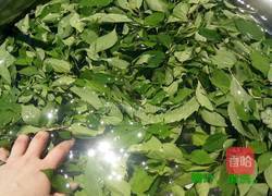 绿豆腐（柴豆腐）的做法图解2