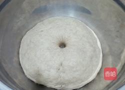 黑麦乳酪肉松欧包(无油无糖)的做法图解4