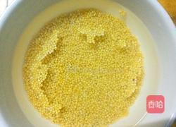 纯小米粥的做法图解2
