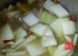 冬瓜炖排骨的做法图解18